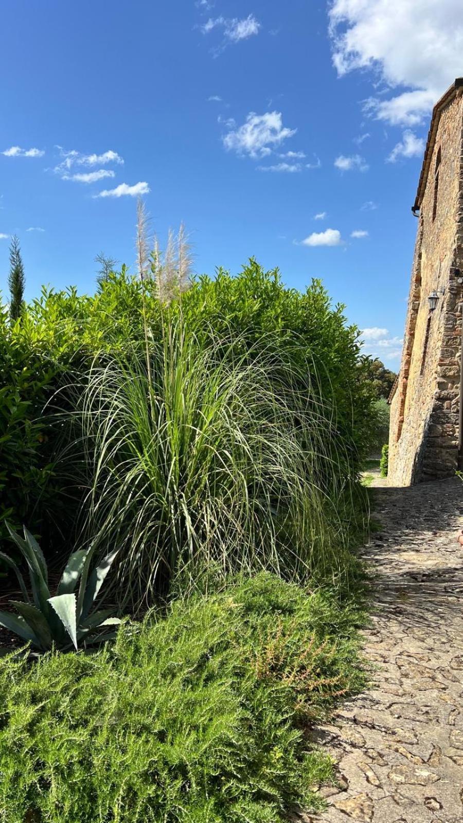 Agriturismo Podere Cortilla Volterra Luaran gambar